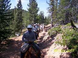 On the Ten Thousand Ft. Elevation Contour Road